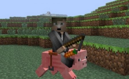 Как управлять свиньей с помощью морковки